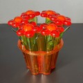 pojemniki-na przyprawy-kwiatki-z-tworzywa-herevin-design-002.jpg