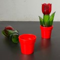 pojemnik-na-sol-i-pieprz-kwiatek-herevin-design-003.jpg
