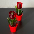 pojemnik-na-sol-i-pieprz-kwiatek-herevin-design-004.jpg
