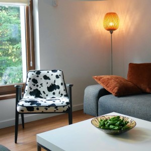 Fotel Muu, proj. Chierowski 366 